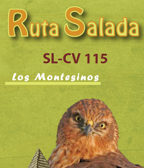 Folleto Ruta Salada SL.CV 115 Los Montesinos